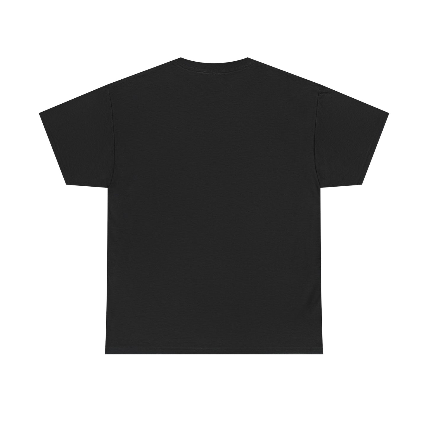 Matrix Inspired Code Enthusiast T-Shirt, Programmer Gift, Tech Tees for Coders, I Write Code, Not Excuses